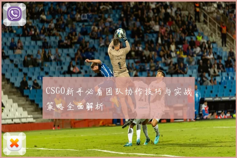 CSGO新手必看团队协作技巧与实战策略全面解析