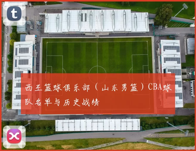 西王篮球俱乐部（山东男篮）CBA球队名单与历史战绩