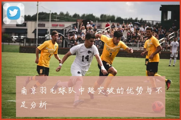 南京羽毛球队中路突破的优势与不足分析