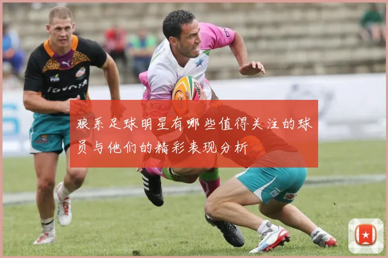 狼系足球明星有哪些值得关注的球员与他们的精彩表现分析