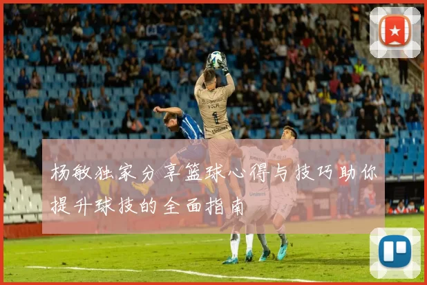 杨敏独家分享篮球心得与技巧助你提升球技的全面指南