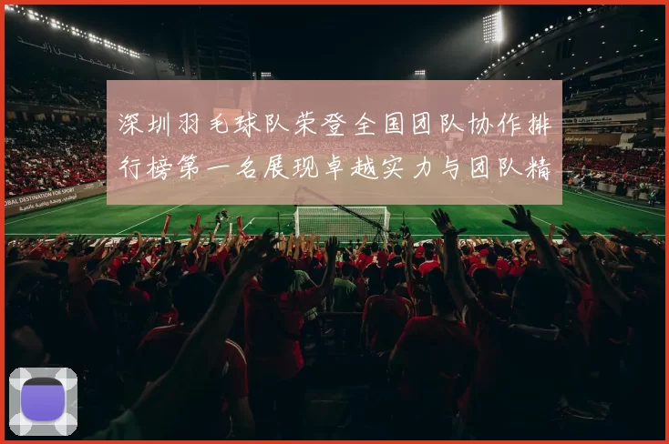 深圳羽毛球队荣登全国团队协作排行榜第一名展现卓越实力与团队精神