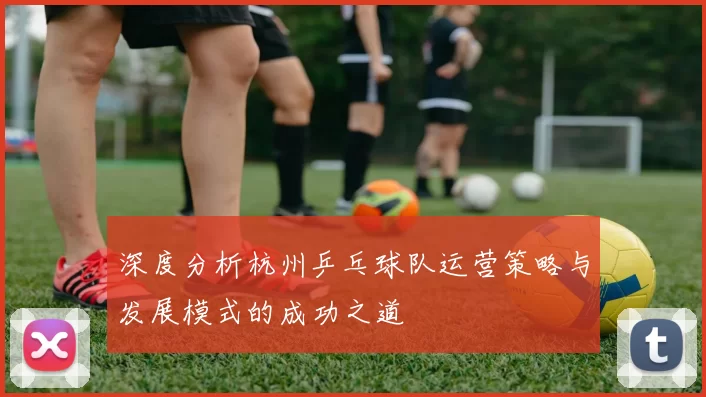 深度分析杭州乒乓球队运营策略与发展模式的成功之道