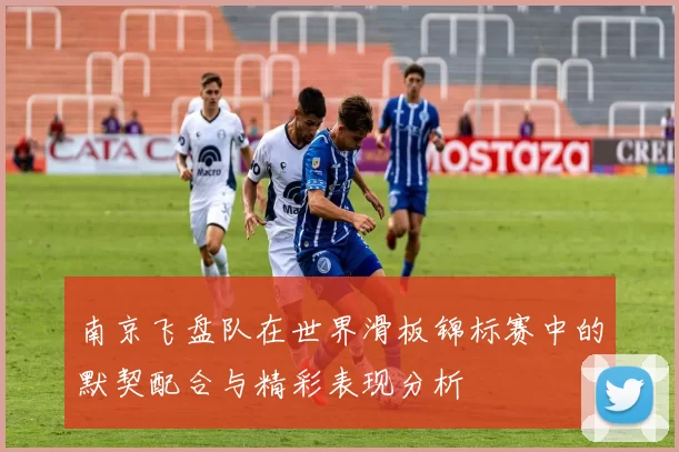 南京飞盘队在世界滑板锦标赛中的默契配合与精彩表现分析
