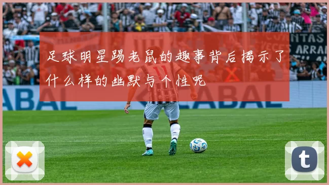足球明星踢老鼠的趣事背后揭示了什么样的幽默与个性呢